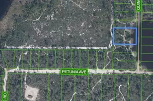 5915 Quince Rd, Sebring, FL 33875 - Photo 5