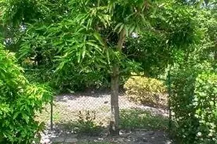 1124 Rialto Dr, Boynton Beach, FL 33436 - Photo 37