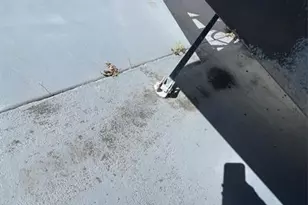 7950 State Road 78, Okeechobee, FL 34974 - Photo 19