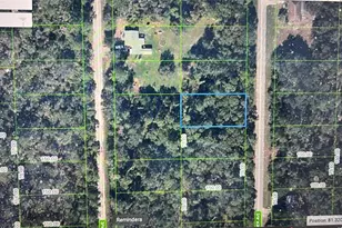 448 Fletcher Ave, Lake Placid, FL 33852 - Photo 5