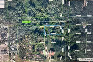 1521 Raintree, Lake Placid, FL 33852 - Photo 5