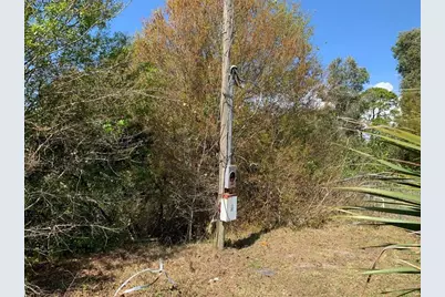 9205 SE 60th Dr, Okeechobee, FL 34974 - Photo 3