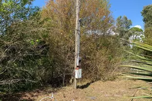 9205 SE 60th Dr, Okeechobee, FL 34974 - Photo 3