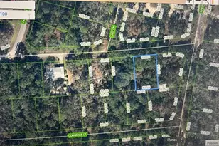 237 Howell Ct, Lake Placid, FL 33852 - Photo 5