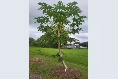 136 SW 85th Ave., Okeechobee, FL 34974 - Photo 41