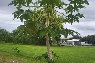 136 SW 85th Ave, Okeechobee, FL 34974 - Photo 41