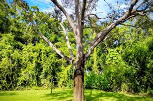 1225 NW 21st St Unit, Stuart, FL 34994 - Photo 15