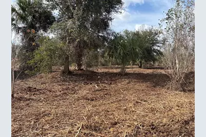 0 NW 296th St, Okeechobee, FL 34972 - Photo 1