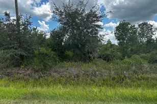 16114 NW 262nd St, Okeechobee, FL 34972 - Photo 3