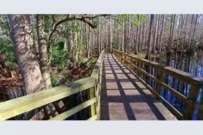 248  Suwanner Dr, Lake Placid, FL 33852 - Photo 3