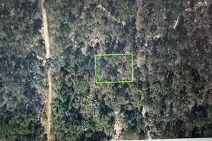 248 Suwanner Dr, Lake Placid, FL 33852 - Photo 7