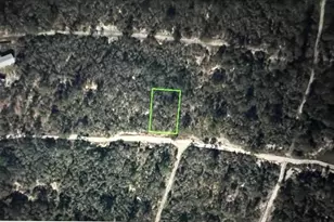 328 Hossler Ave, Lake Placid, FL 33852 - Photo 9