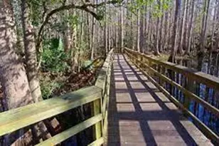 328 Hossler Ave, Lake Placid, FL 33852 - Photo 3