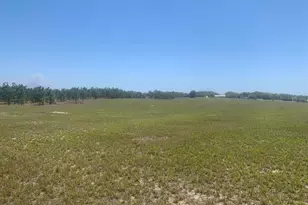 0 Libby Rd, Babson Park, FL 33827 - Photo 3