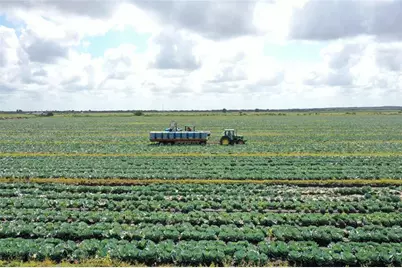 23481 NW 144th Ave, Basinger, FL 34972 - Photo 1