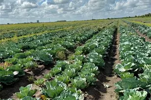 23481 NW 144th Ave, Basinger, FL 34972 - Photo 3