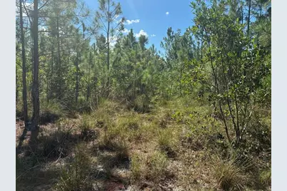0  Holopaw Groves Rd, Saint Cloud, FL 34772 - Photo 1