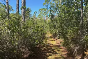 0 Holopaw Groves Rd, Saint Cloud, FL 34772 - Photo 3