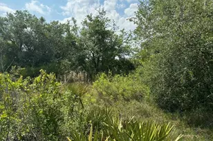 0 NW 318th St, Okeechobee, FL 34972 - Photo 3