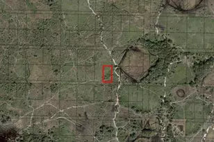 0 NW 310th St, Okeechobee, FL 34972 - Photo 3