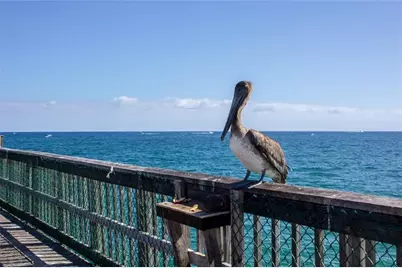 2900 NE 14th Street Cswy, Unit #514, Pompano Beach, FL 33062 - Photo 51