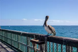 2900 NE 14th Street Causeway, Pompano Beach, FL 33062 - Photo 51