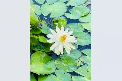 2900 NE 14th Street Cswy, Unit #514, Pompano Beach, FL 33062 - Photo 37