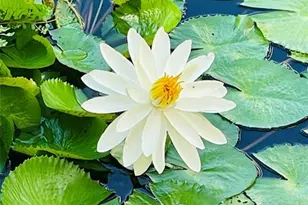 2900 NE 14th Street Causeway, Pompano Beach, FL 33062 - Photo 37