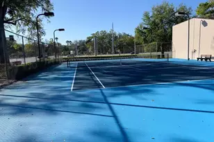 4024 Dream Oak Pl, Tampa, FL 33613 - Photo 3