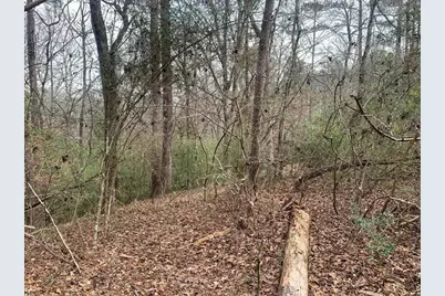 0  Griffin Circle, Westville, FL 32464 - Photo 1