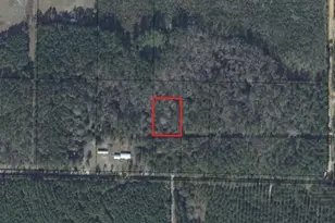 0 Griffin Circle, Westville, FL 32464 - Photo 3