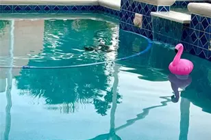 10744 SW Elsinore Dr, Port Saint Lucie, FL 34987 - Photo 11