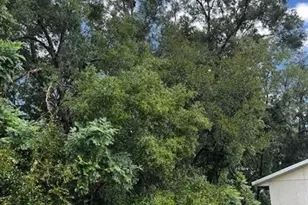 000 Silver Course Loop, Ocala, FL 34472 - Photo 3