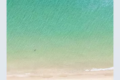 3200 N Ocean Blvd, Unit #2310, Fort Lauderdale, FL 33308 - Photo 55