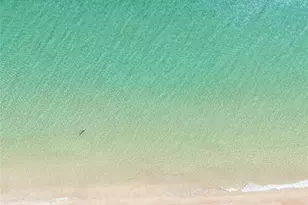 3200 N Ocean Blvd, Fort Lauderdale, FL 33308 - Photo 55