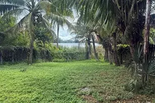 1270 NW 111th St, Miami, FL 33167 - Photo 3