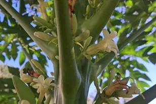 17230 NW 264th St, Okeechobee, FL 34972 - Photo 3