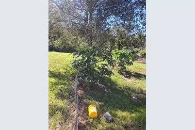 17230 NW 264th St., Okeechobee, FL 34972 - Photo 23