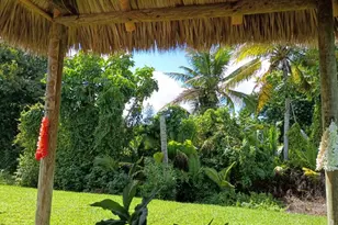 3353 Lake Overlook Pl, Lantana, FL 33462 - Photo 35