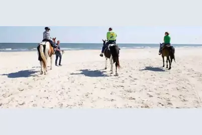 427  Sea Grove Way, Port Saint Joe, FL 32456 - Photo 29