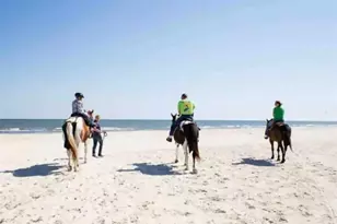 427 Sea Grv Wy, Port Saint Joe, FL 32456 - Photo 29