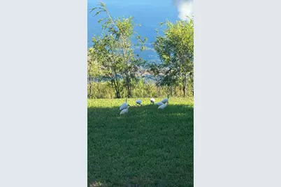 3421 NW 44th St, Unit #205, Lauderdale Lakes, FL 33309 - Photo 7