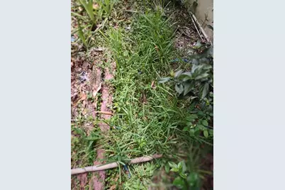 0000 SE 44 Avenue, Ocala, FL 32526 - Photo 1