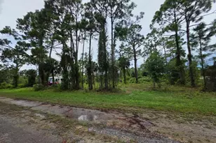 418 Lampion Ave, Lehigh Acres, FL 33974 - Photo 3