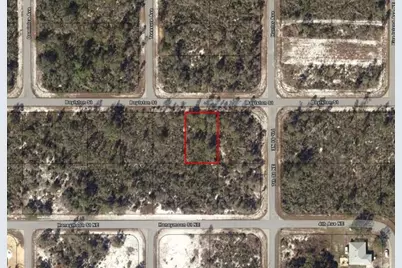 635  Boylston St, Lake Placid, FL 33852 - Photo 3