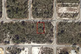 635 Boylston St, Lake Placid, FL 33852 - Photo 3