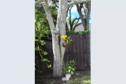 1303  Seagrape Cir, Weston, FL 33326 - Photo 39