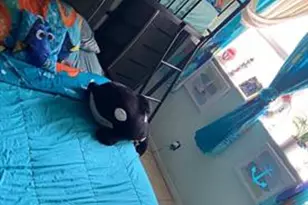 3200 NW 5th Terrace, Pompano Beach, FL 33064 - Photo 9