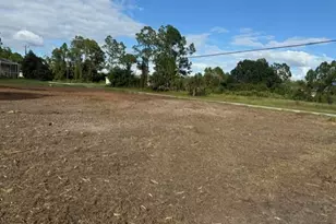 875 Haskell St, Lehigh Acres, FL 33974 - Photo 3