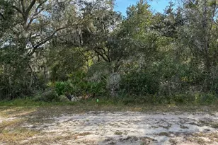 Lot 14 Block 75 Park Ave, Indian Lake Estates, FL 33855 - Photo 3